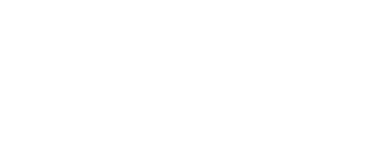 Echo Magnet Services B.V.